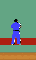 Seoi Nage à l'extérieur de la surface de combat