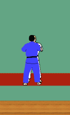 Seoi Nage à l'intérieur des limites
